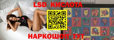 дмт Новодвинск