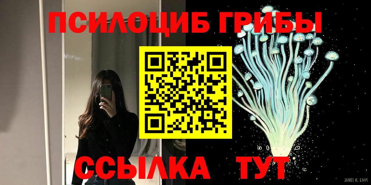 Чистополь  Галлюциногенные грибы Psilocybe  Псилоцибиновые грибы ЛСД  Вход с VPN 