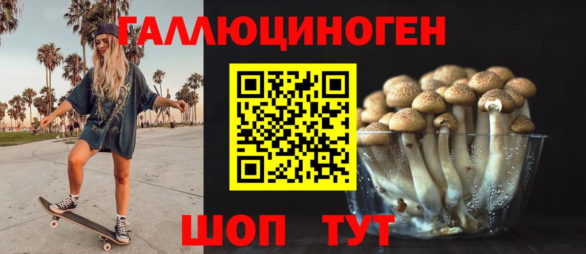 Галлюциногенные грибы Psilocybe Чистополь